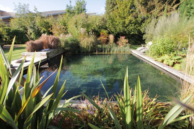 Pond-Type Swimming Pool