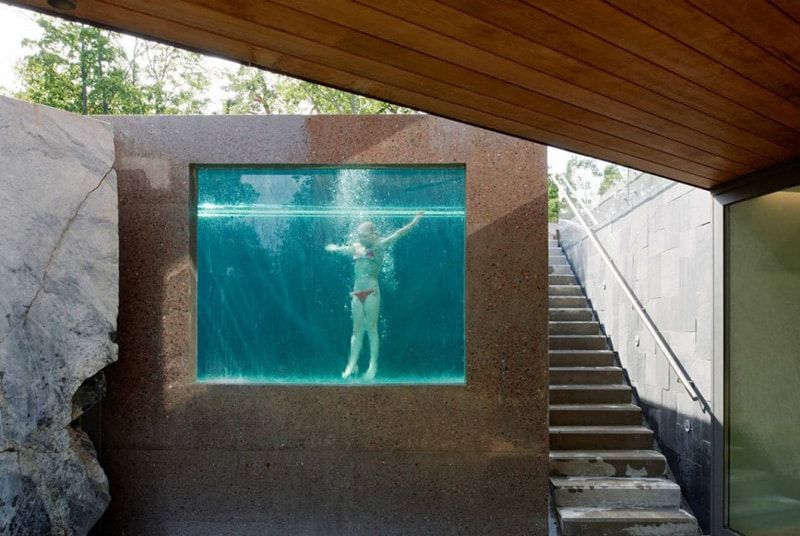 Aquarium Indoor Swimming Pool